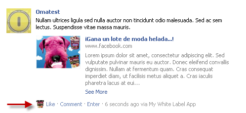 Easypromos - White Label: Customized icon in the posts on the wall of the promotion