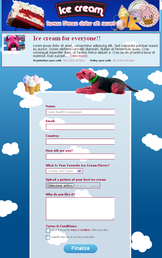 Easypromos White Label - Example of an entry form that has been fully customized through CSS