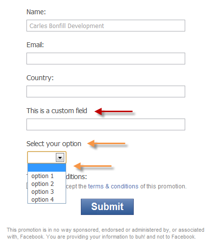 Example of entry form with 4 customizable extra fields Example of entry form with 4 customizable extra fields