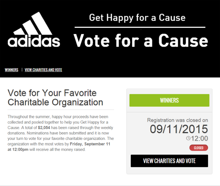 adidas charity campaign example