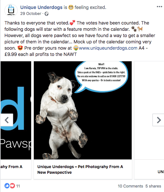 Unique Underdogs vote closed