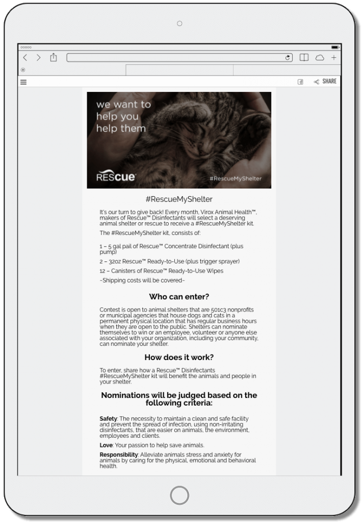 Writing Contest example of World Animal Day promotions