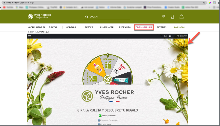 Web visits data