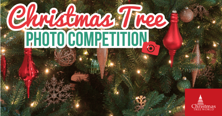 Christmas photo contest trees