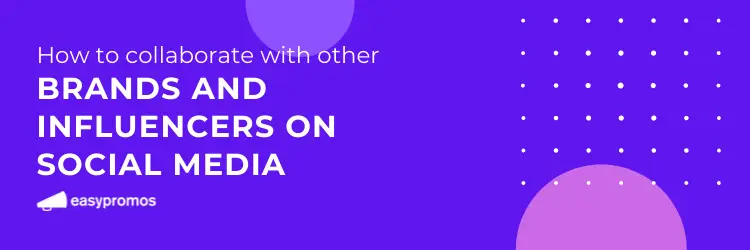 Promotion in Collaboration with Other Brands or Influencers