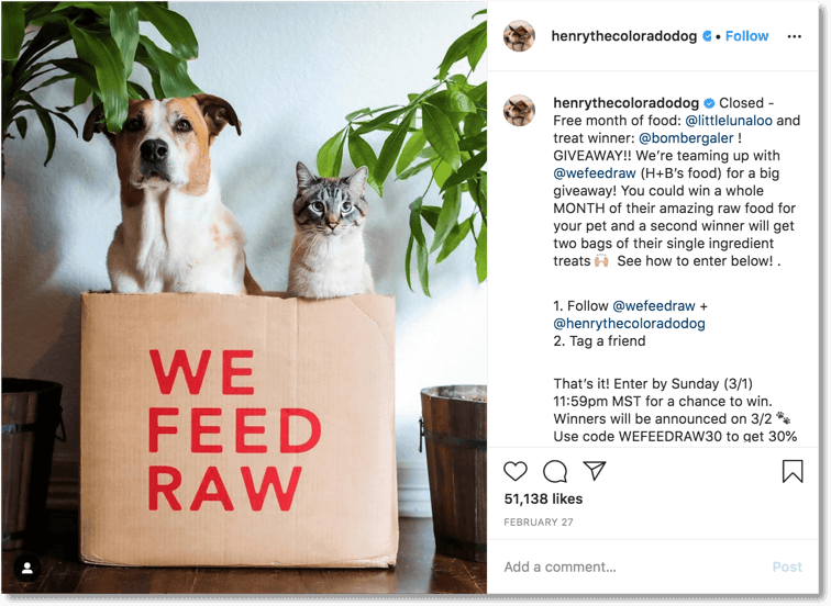 Instagram pet giveaway brand collaboration