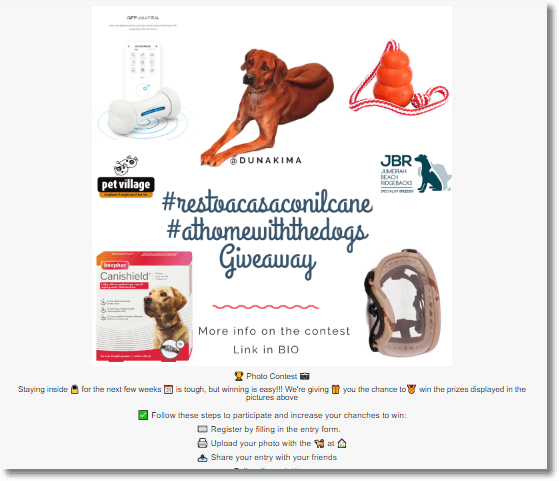 Instagram photo contest, example of how to attract customer with social media promotions