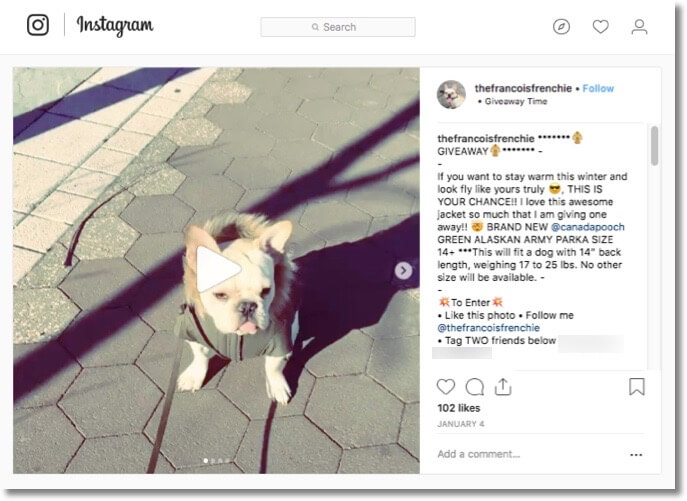 winter instagram giveaway idea
