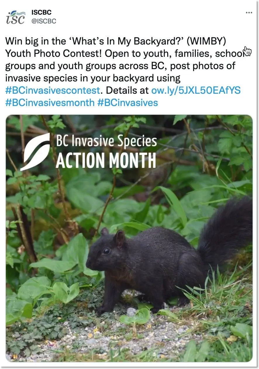 hashtag contest on twitter