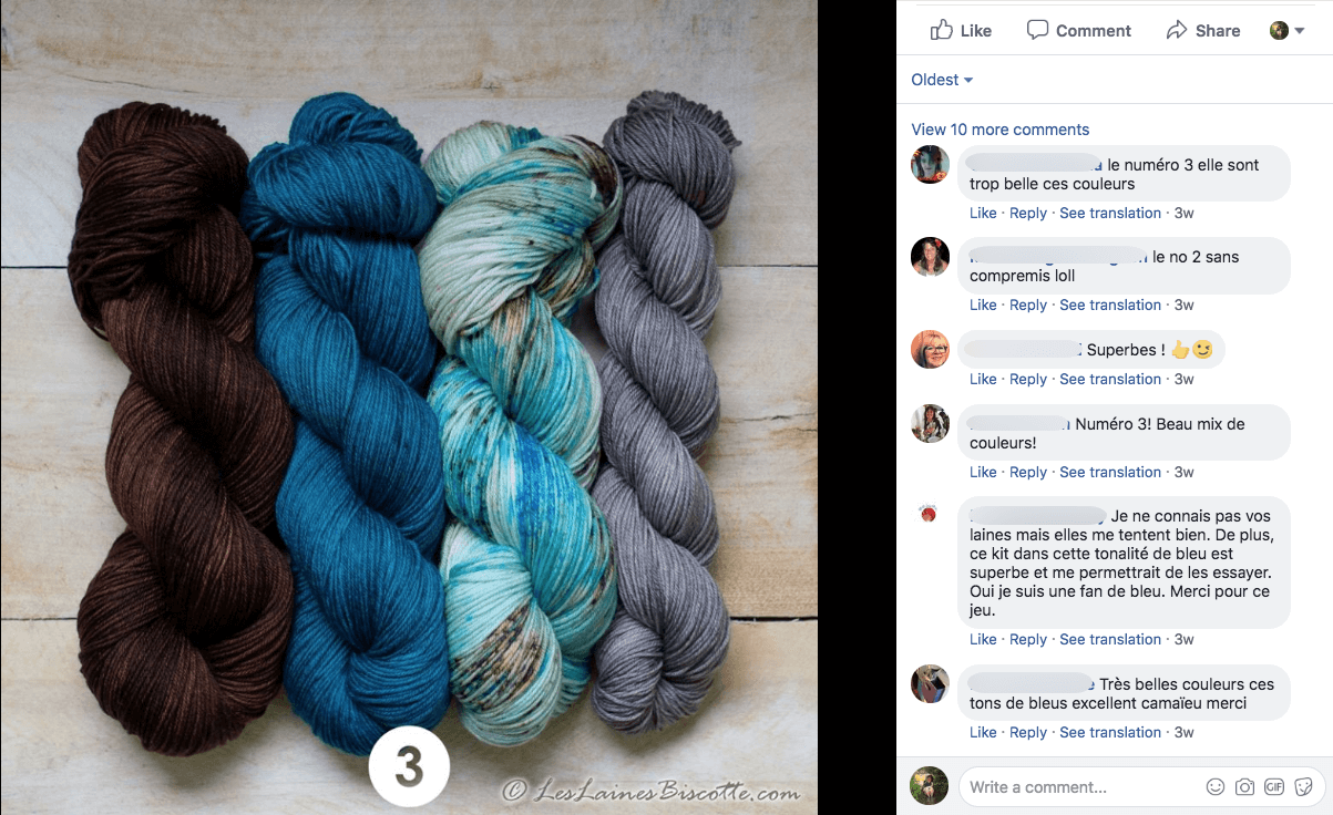 Multi-network social media giveaways art craft Facebook Biscotte French