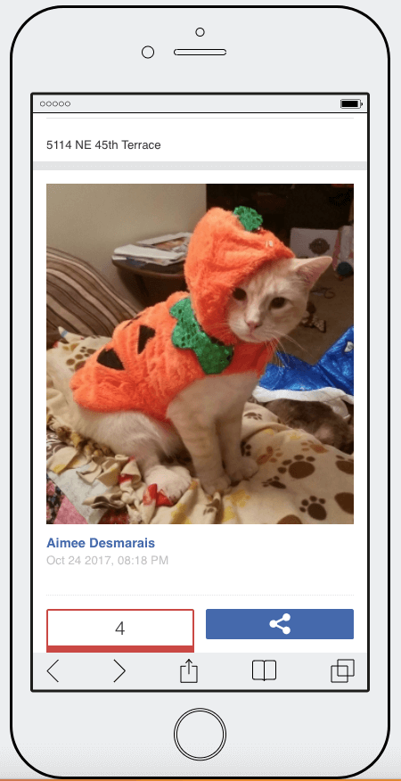 Halloween contests photo