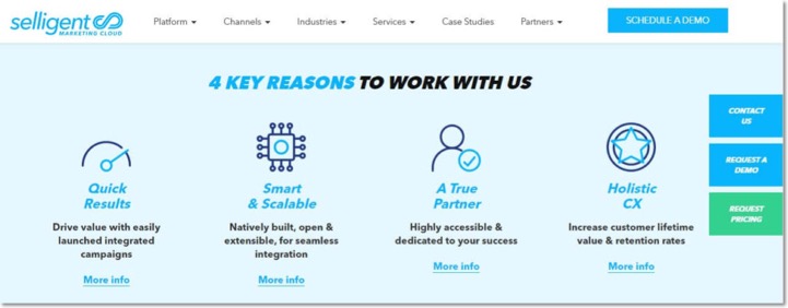 Screenshot of the Selligent homepage. It lists 4 reasons to use Selligent: quick results, smart and scaleable platform, a true partner, and a holistic customer experience.