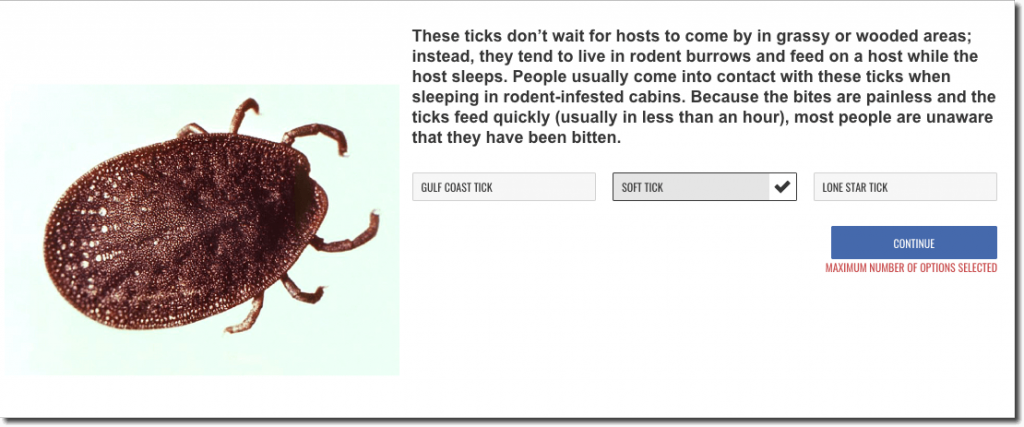 Example of a question from the summer tick season quiz. The image shows a photo of a tick. The text describes a specific type of tick, and users have to select the correct name for this type from 3 options.