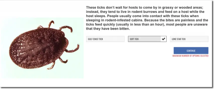 Example of a question from the summer tick season quiz. The image shows a photo of a tick. The text describes a specific type of tick, and users have to select the correct name for this type from 3 options - summer contest idea.