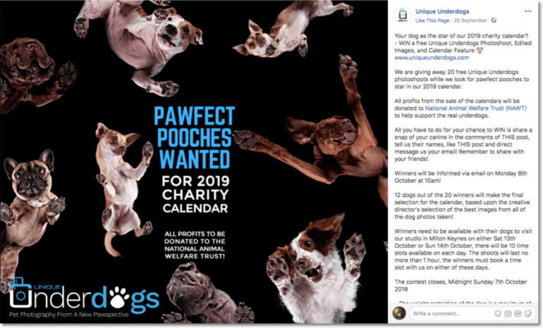 ideas for social media promotions, photo contest
