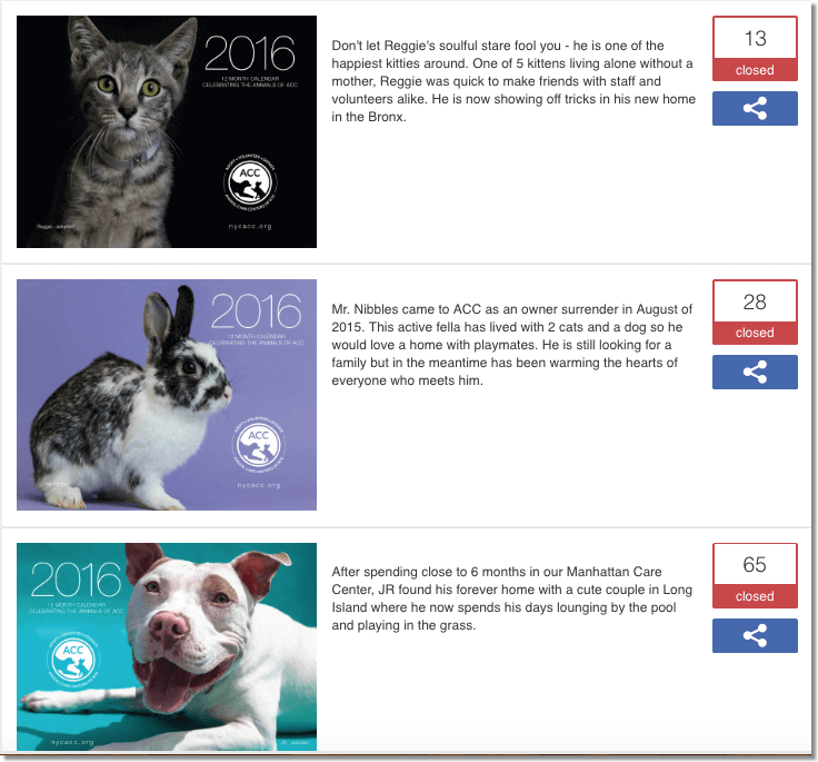 Pick a Favorite app as an example of World Animal Day promotions