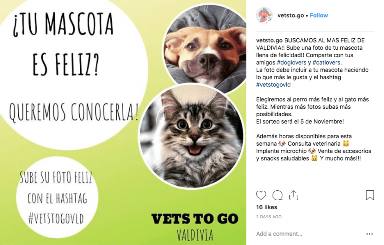 best Instagram contest ideas hashtag