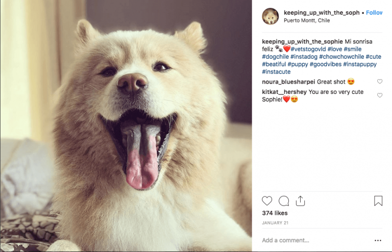 best Instagram contest ideas hashtag photo