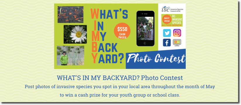 summer photo contest for kids