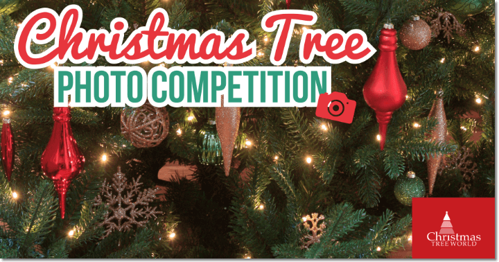 Christmas photo contest family