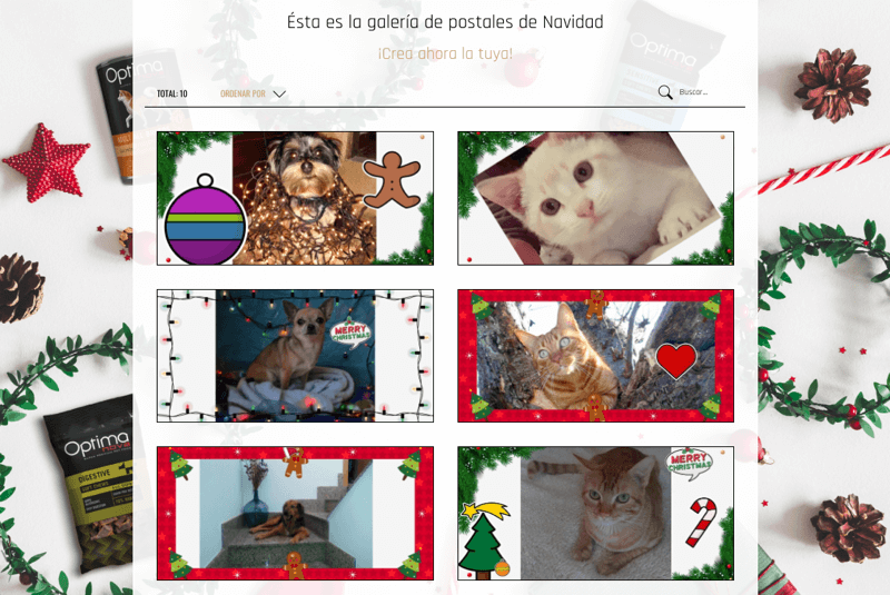pet photo contest with frames and stickers