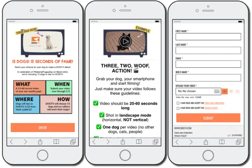 video contests organized with Easypromos