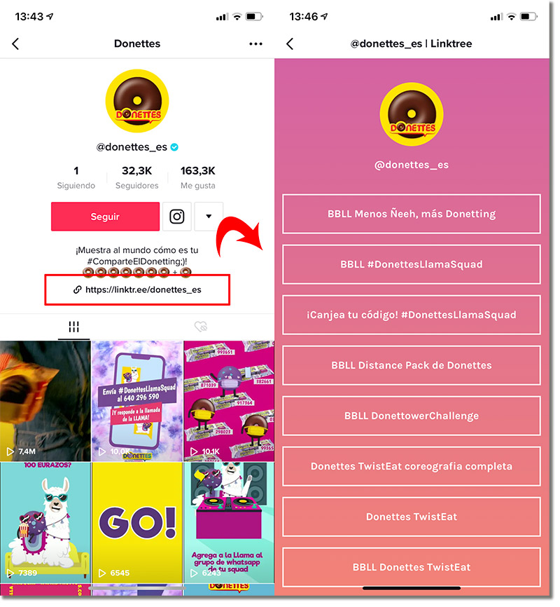 TikTok giveaways: screenshot of donnettes Spain using Linktree