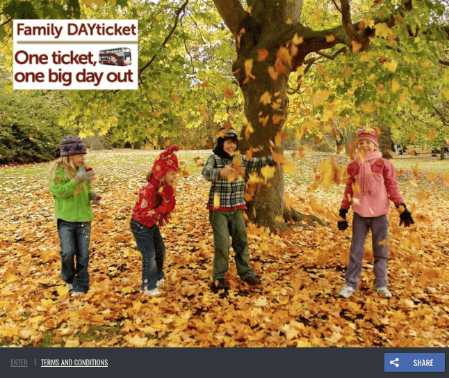 Screenshot of fall promotions with coupon offers for families. The image shows four young children in warm clothes playing autumn leaves. A banner reads, "Family Day Ticket. One ticket, one big day out."