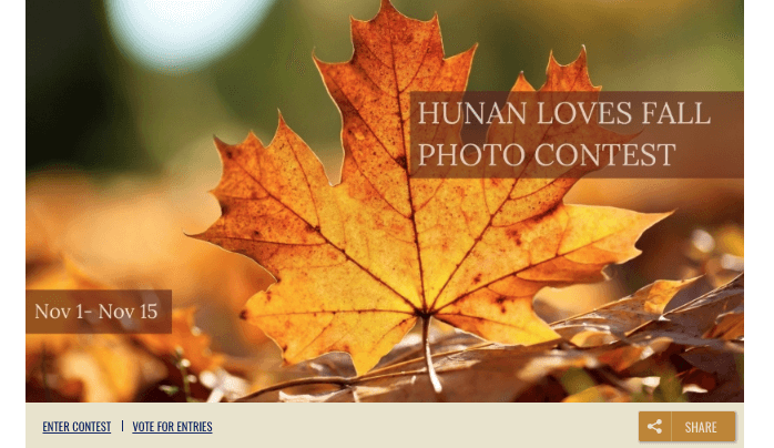 Banner image from a fall photo contest. The photo shows a large orange leaf, with the overlay text "Hunan Loves Fall Photo Contest, Nov 1 - Nov 15."