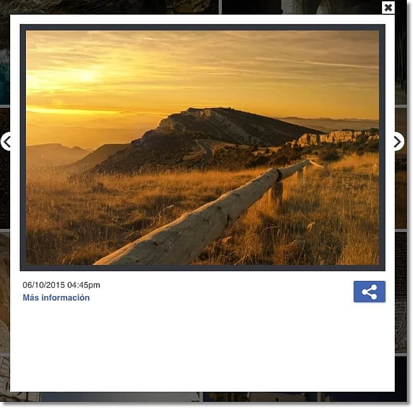 photo contest entry in gallery