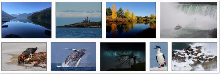 greenpeace canada photo contest 2019
