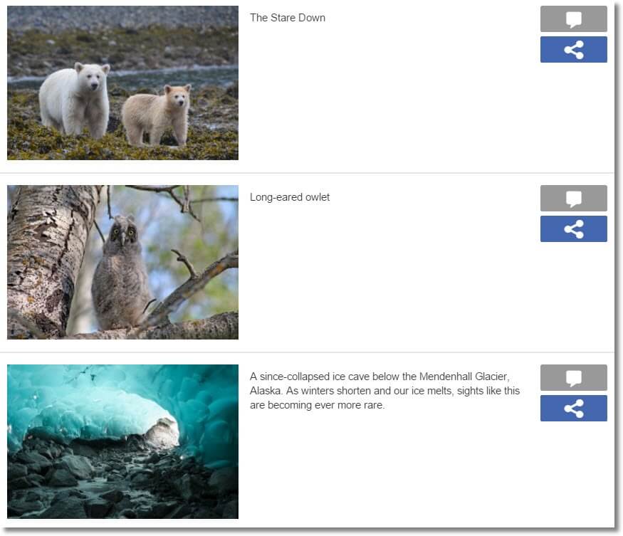Greenpeace Canada Photo contest