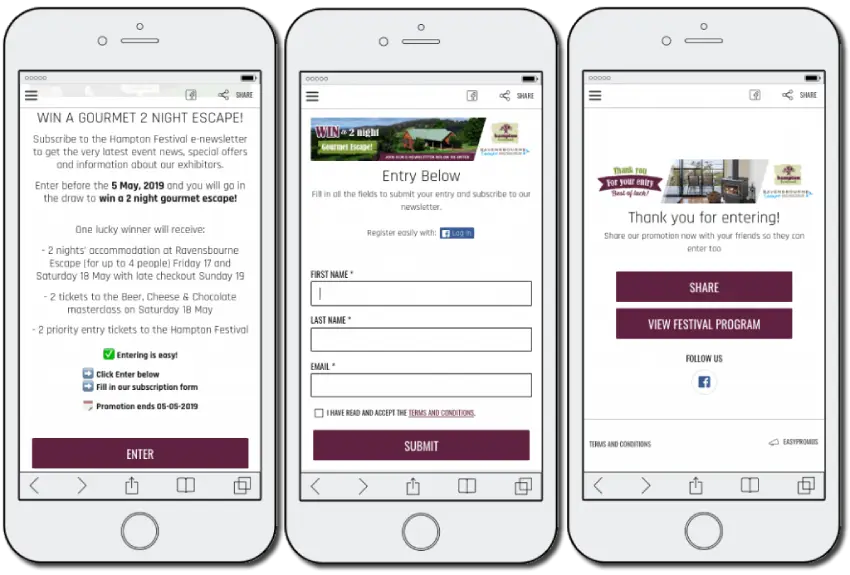 The image shows 3 mobile screenshots. 1: explains that users must subscribe to the Hampton Festival newsletter to join the prize draw. 2: an entry form asks for users' full name and email address. 3: the festival thanks users for entering, and invites them to share on social media or view the festival program with direct buttons.