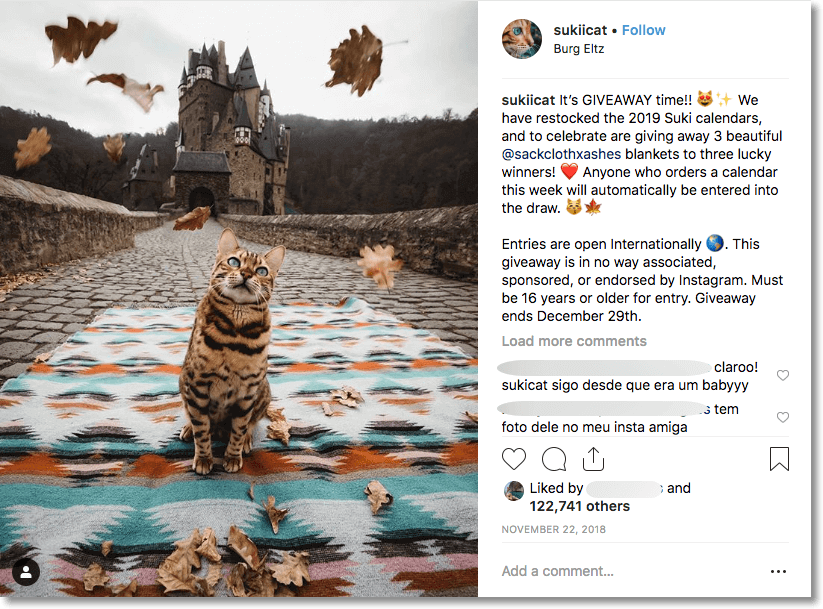 Screenshot of an Instagram post, informing users that they will enter a prize draw when they make any purchase. The photo shows a cat sitting on a blanket in front of a castle as leaves fall around it.