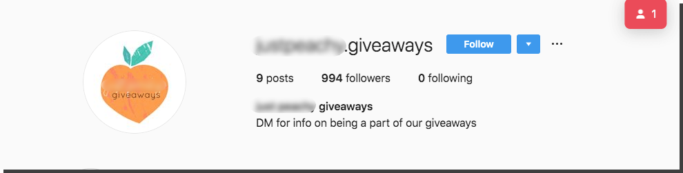 Screenshot of a giveaway account profile. The account has only 9 posts and is not following any other pages.