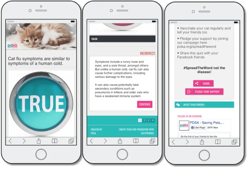 3 screenshots showing a quiz question, an explanation of a quiz answer, and the end of the quiz with tips for cat owners.