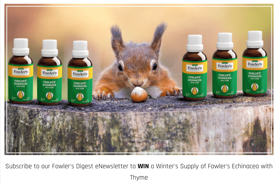 winter marketing newsletter giveaway