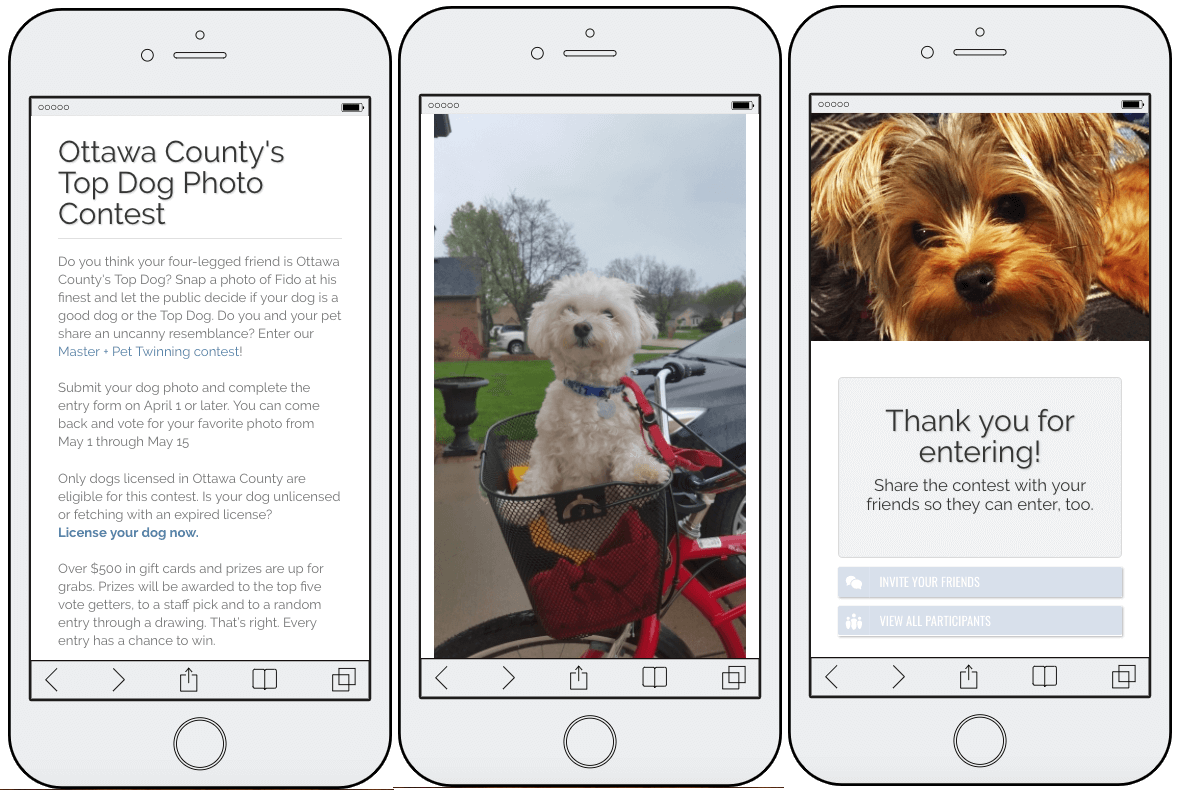 3 mobile screenshots from the Ottawa County World Animal Day promotion. The first screen announces their Top Dog photo contest. The second screen shows an example of a competition entry: a small white poodle in the front basket of a red bike. The final screen thanks users for entering.
