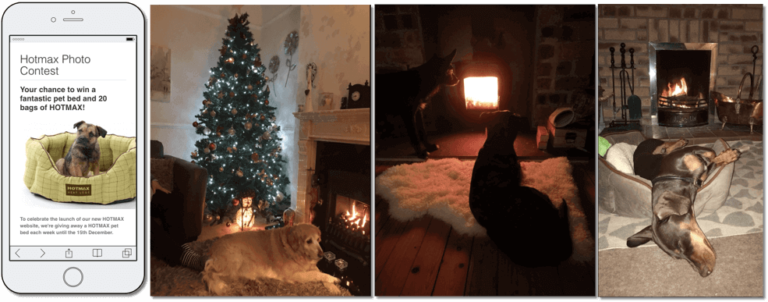photo contest winter contest idea