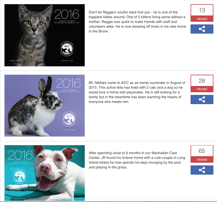 Screenshot of the photo gallery in this World Animal Day promotion. Photos include a striped kitten, a black and white rabbit, and a pitbull.