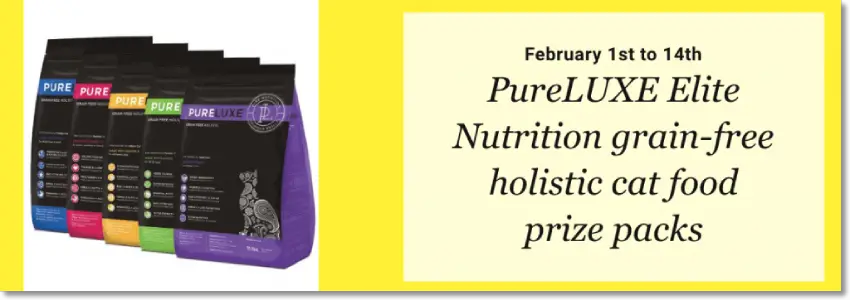Banner announcing a giveaway of free cat food for newsletter subscribers. The image shows 4 different flavors of cat food.