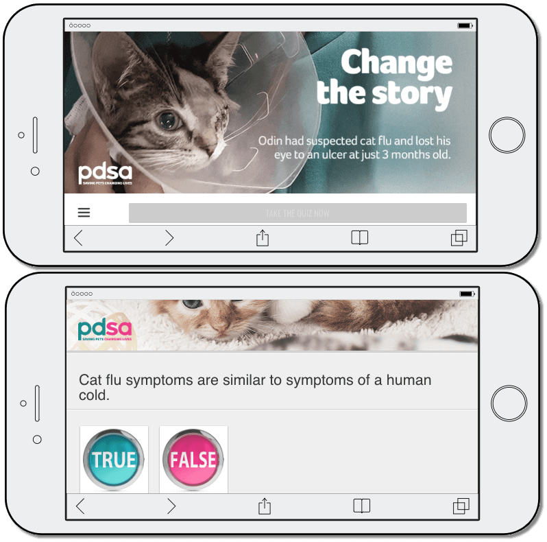 Quiz for World Animal Day promotion