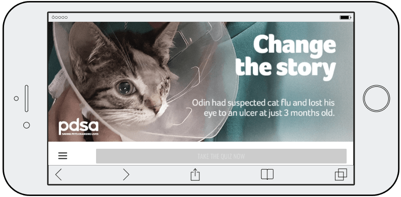 Screenshot from a World Animal Day quiz. The image shows a cat with one eye wearing a medical cone, with the title "Change the Story".
