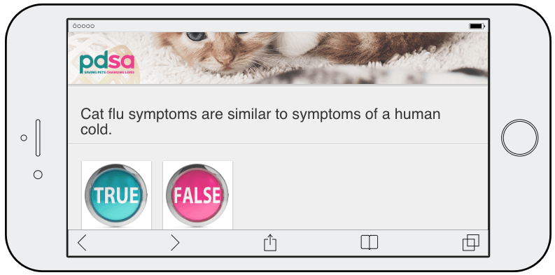 Screenshot from a World Animal Day quiz. The question reads, "Cat flu symptoms are similar to symptoms of a human cold". Users have to click a "true" or "false" button.