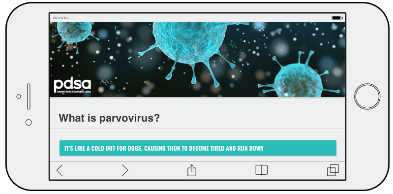 Screenshot from a World Animal Day quiz. The question asks, "What is parovirus?" Users select the correct answer from a list of possibilities.