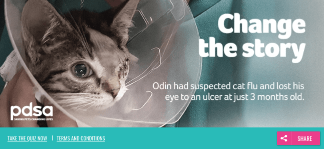 Banner announcing a quiz to learn more about cat flu. The title is "Change the Story" and the photo is a cat with only one eye.
