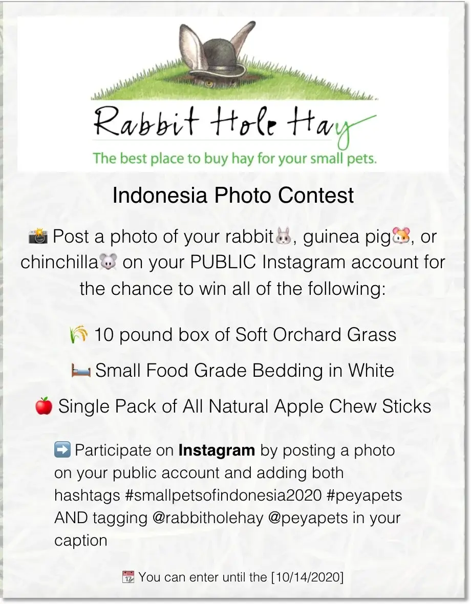 mention and hashtag contest on instagram organized to collect ugc 