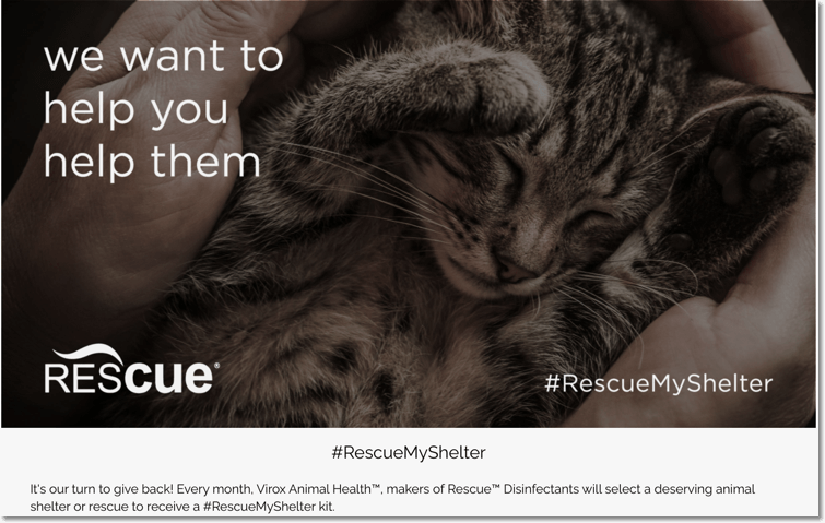 #RescueMyShelter writing contest