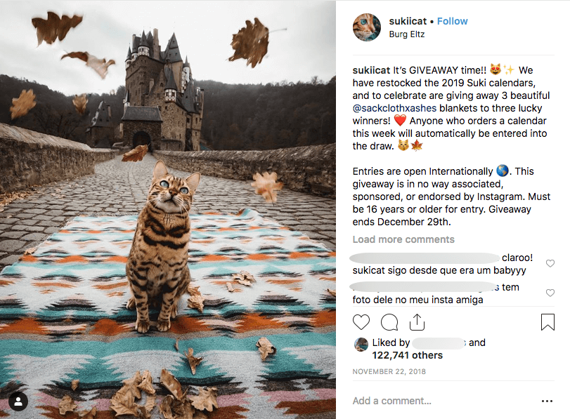 Screenshot of an Instagram post, informing users that they will enter a prize draw when they make any purchase. The photo shows a cat sitting on a blanket in front of a castle as leaves fall around it.