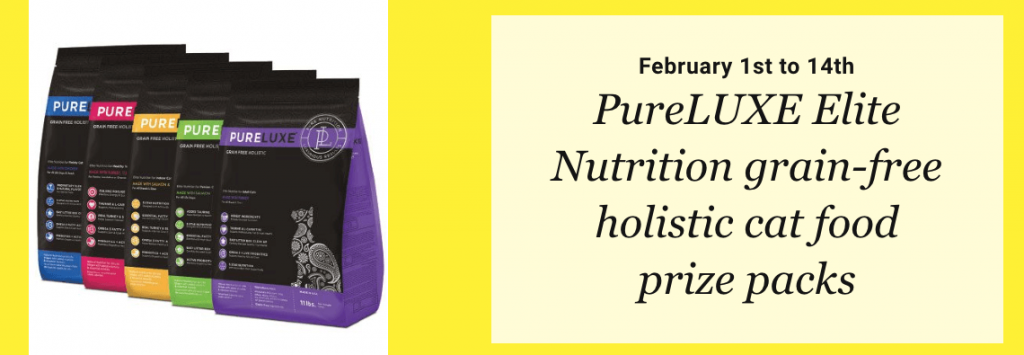 Banner announcing a giveaway of free cat food for newsletter subscribers. The image shows 4 different flavors of cat food.